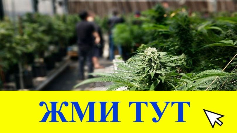 Купить наркотики в Семёнове